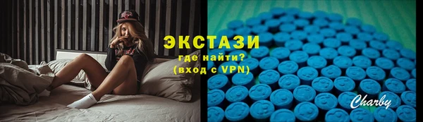 PSILOCYBIN Аркадак