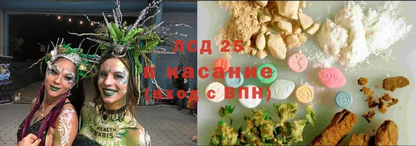 PSILOCYBIN Аркадак
