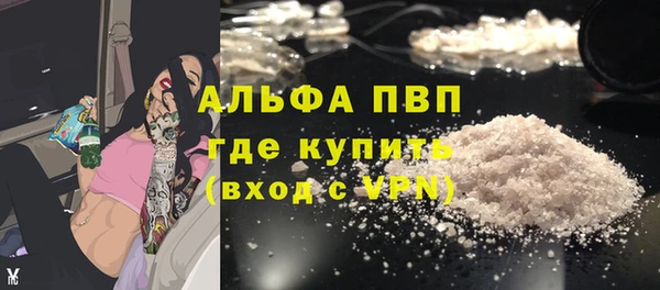 PSILOCYBIN Аркадак