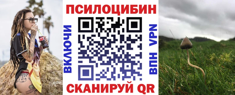 ссылка на мегу как зайти  дарнет шоп  Пенза  Галлюциногенные грибы мухоморы 