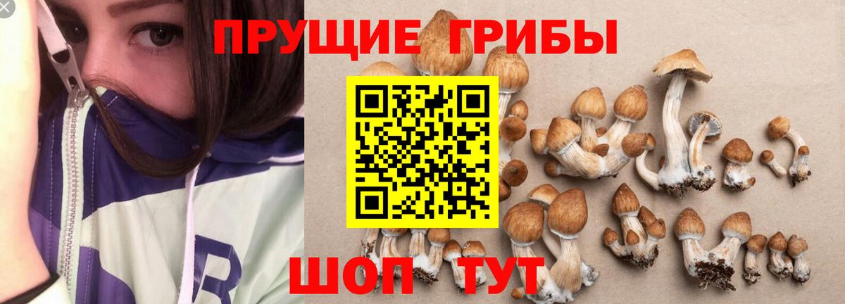 Галлюциногенные грибы GOLDEN TEACHER Пенза