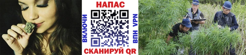 Бошки Шишки тримм  мориарти официальный сайт  hydra ССЫЛКА  Пенза  даркнет сайт 